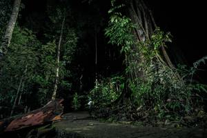 BIB: 
                            <button type="button" onclick="openModal(24809004)" class="btn btn-primary btn-sm float-right btn-popup" data-toggle="modal" data-target=".modal-high-quality">
                        <i class="fas fa-shopping-cart"></i> Add to Cart
                    </button>
                                            <button type="button" onclick="isThisMe(24809004, true)" class="btn btn-success btn-sm float-right btn-popup btn-isme hidden" data-toggle="tooltip" data-placement="bottom" title="นี่คือรูปของคุณใช่ไหม คลิกที่นี่เพื่อเอาเข้าอัลบั้ม">
                        <i class="fas fa-plus"></i> Add to album
                    </button>
                    <button type="button" onclick="isThisMe(24809004, false)" class="btn btn-warning btn-sm float-right btn-popup btn-isnotme hidden">
                        <i class="fas fa-ban"></i> Remove from album
                    </button>